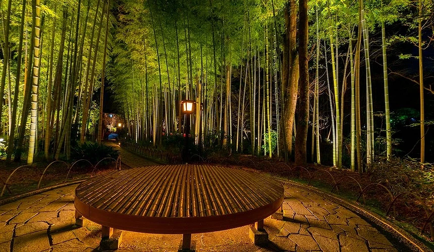 夜间的竹林小径