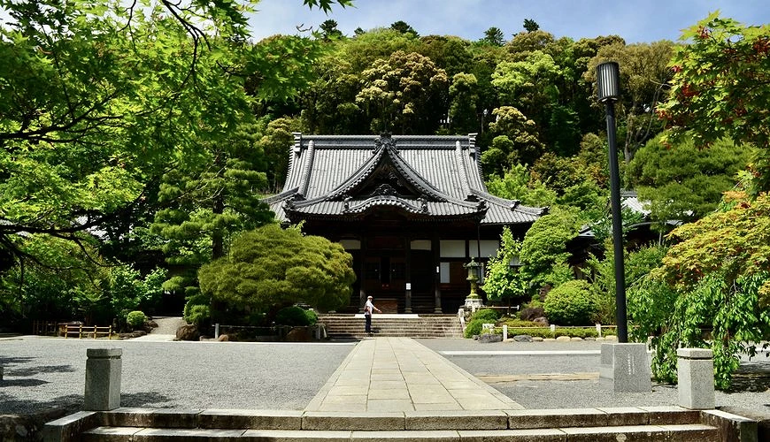 修禅寺本堂春夏景色，寺院建筑被青绿树叶与森林环绕，石阶步道通往庄严宁静的禅宗古刹