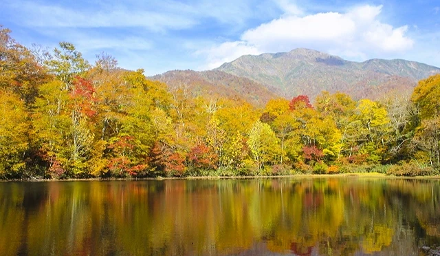 福井县刈込池秋季红叶景观,湖面映照满山枫红与黄叶,远方群山叠翠衬托静谧湖水