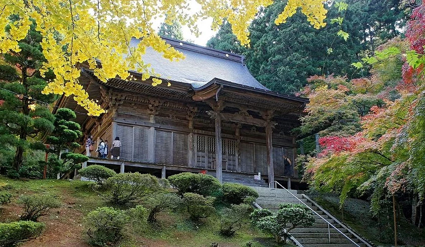 福井县小滨市万德寺秋季景观,古老木造寺院被银杏与红叶环绕,散发庄严静谧氛围