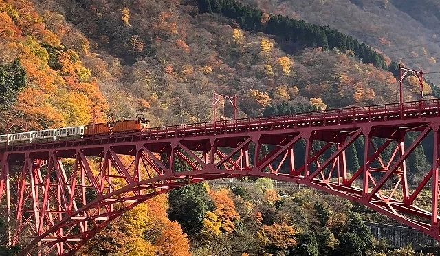 富山县宇奈月温泉红叶美景,黑部峡谷小火车行驶在鲜红色铁桥上,两侧山谷被金黄与橙红枫叶覆盖