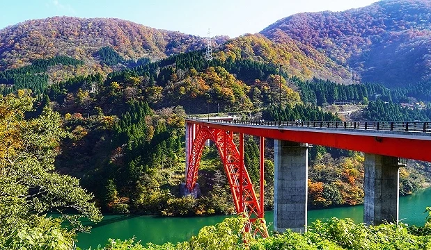 富山县庄川峡红叶景观,鲜红色大桥横跨碧绿河面,背后山谷染上金黄与橙红枫叶,映衬秋日绝美风光