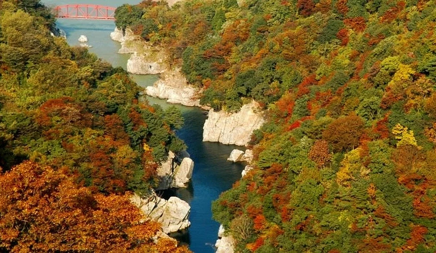 富山县神通峡秋季红叶景观,两岸山谷枫叶渐层染色,碧绿河水蜿蜒其中,远方可见红色铁桥点缀