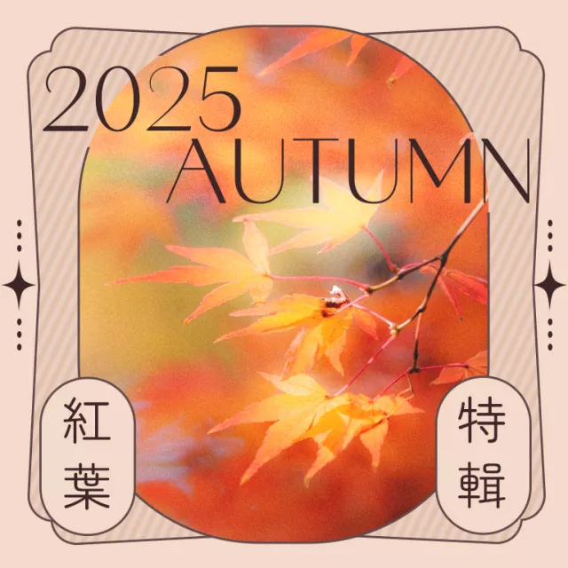 红叶特辑