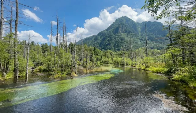2026上高地自由行完全攻略：景點路線、美食住宿懶人包