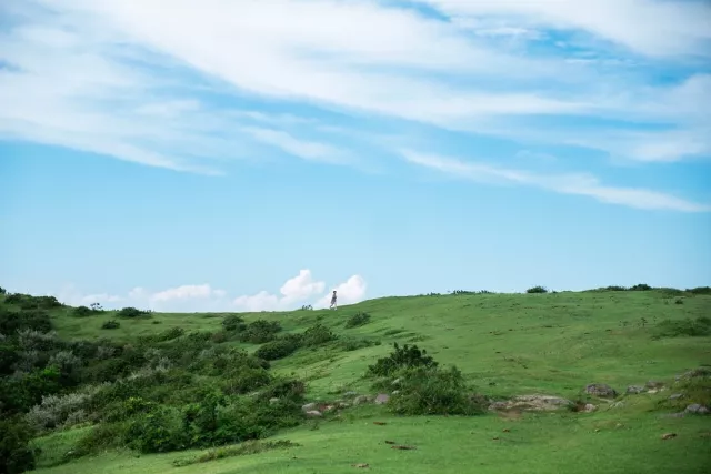 隱岐群島、鳥取大山5天4夜推薦行程與必訪景點：米子機場進出超方便