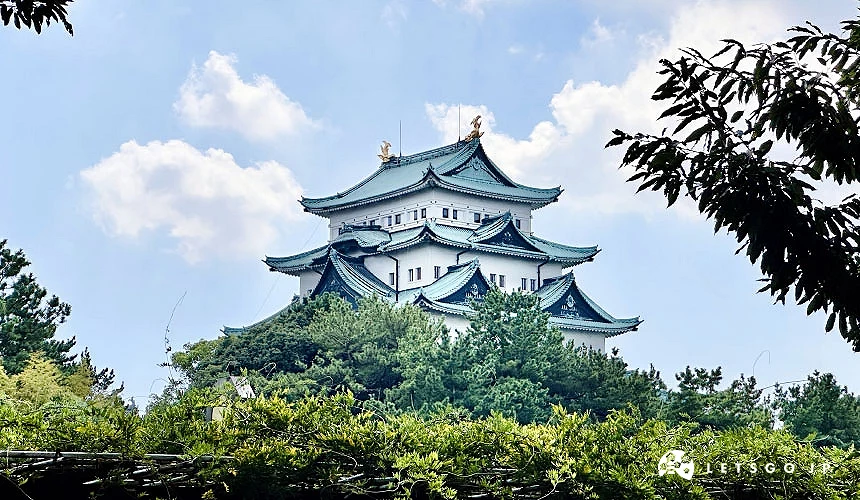名城公園不僅能欣賞四季花卉,還可眺望名古屋城天守閣