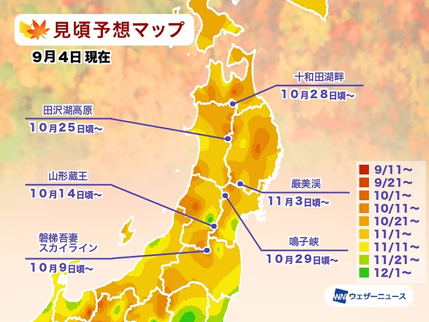 东北地区赏枫时间预测图