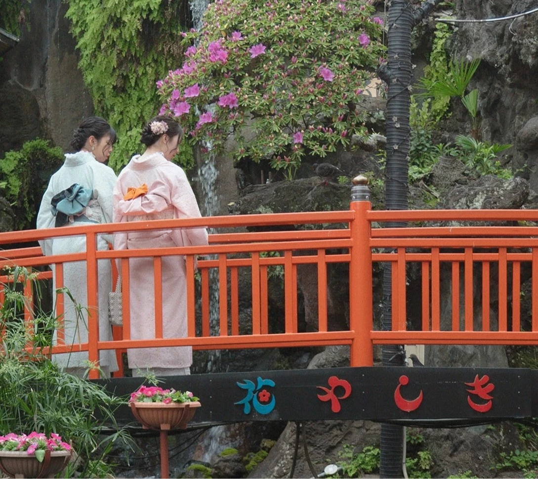 兩個女生穿著和服站在紅橋上,周圍環繞著綠樹