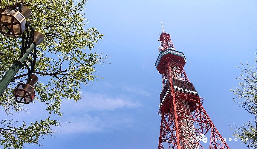 仰望札幌电视塔的画面,红白相间的塔身在蓝天衬托下闪耀,左侧可见街灯与绿树枝叶