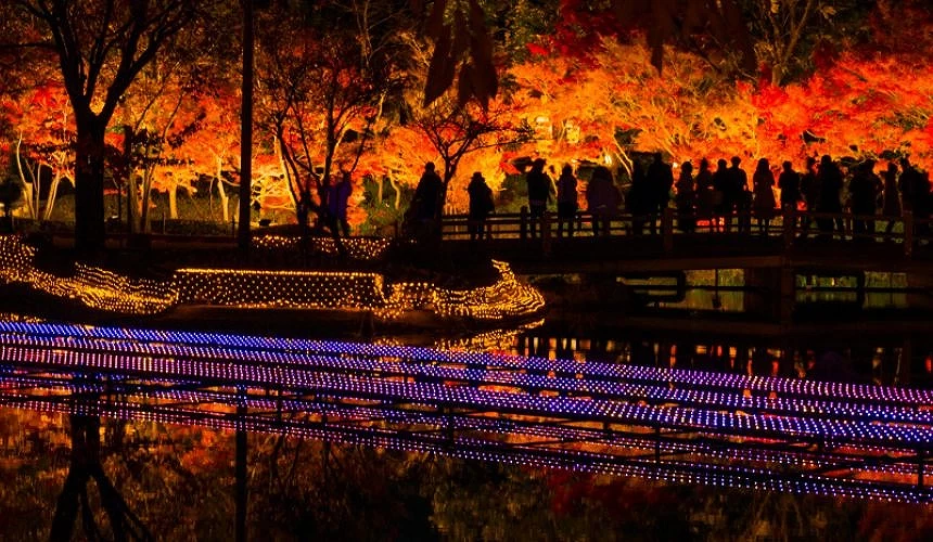 光之大河线条灯光与人群