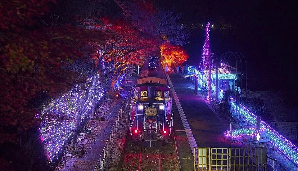 嵯峨野觀光小火車停靠在被燈海包圍的月台,軌道兩側閃爍著粉紫與藍光,沿途楓葉在夜色中綻放璀璨光芒
