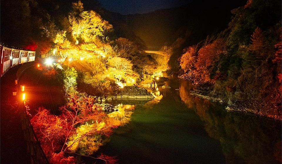 夜晚的保津川沿岸被燈光映照,紅葉倒映在水面上閃耀金光,嵯峨野觀光小火車緩緩駛過