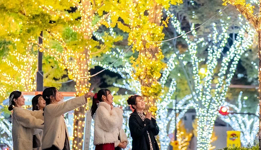 身著冬衣的女性旅客們在金黃銀杏樹下欣賞夜間燈飾,背景閃爍著白色與金色燈光