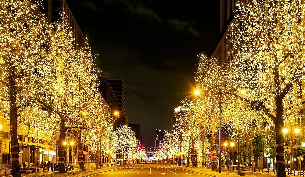 夜晚的御堂筋大道兩側樹木掛滿金色燈飾,整條街道在暖黃光芒映照下閃耀如星海