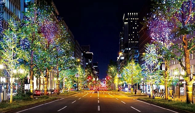 御堂筋夜景以藍、綠、紫等多彩燈光點亮街道,閃爍的樹燈與城市建築交織出夢幻色調