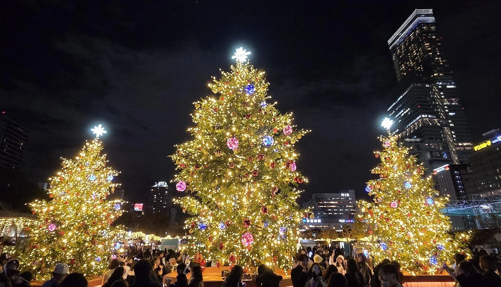 三棵金光閃閃的聖誕樹矗立在天王寺公園中央,樹上掛滿彩色球飾與燈串,遊客圍繞在周圍欣賞拍照
