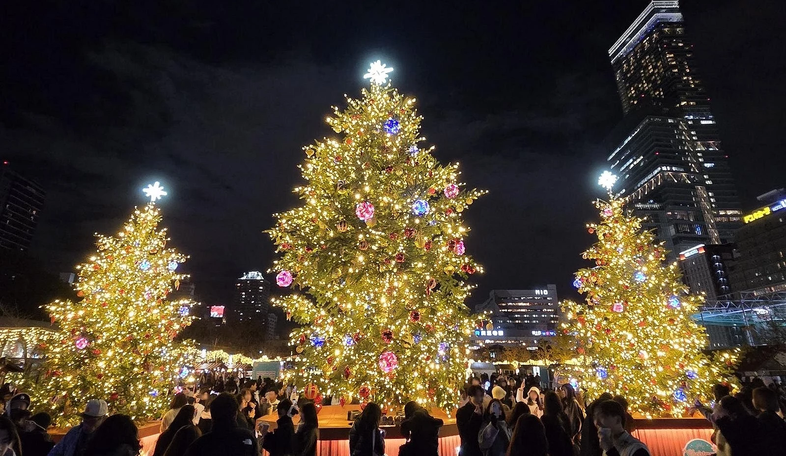 三棵金光閃閃的聖誕樹矗立在天王寺公園中央,樹上掛滿彩色球飾與燈串,遊客圍繞在周圍欣賞拍照