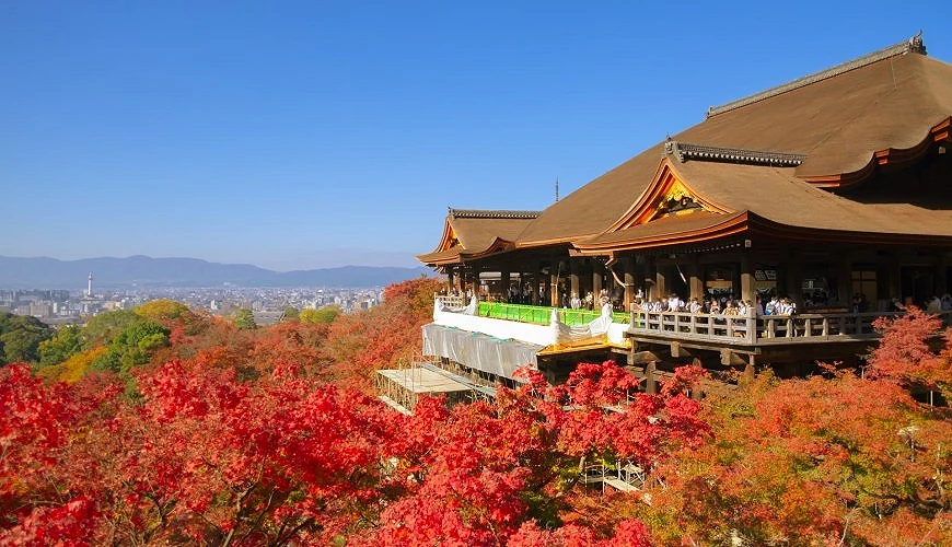 被红叶包围的清水寺