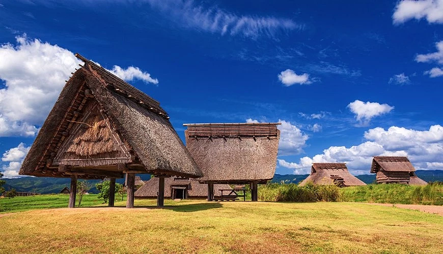 夏季的吉野里历史公园