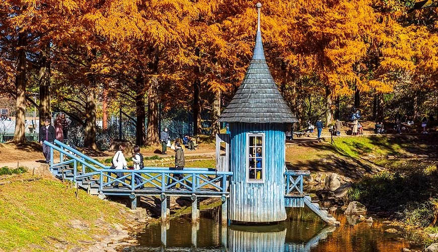 秋季「噜噜米公园」很有北欧风情