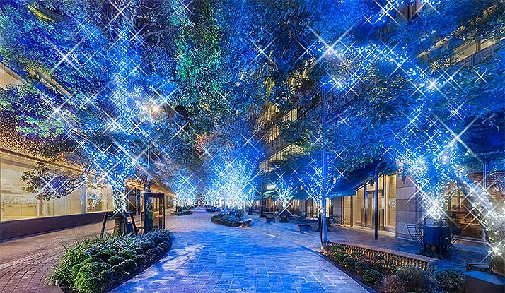 东京丸之内仲通点灯活动「Marunouchi Bright Christmas」,街道两侧树木被蓝色LED灯点亮,营造闪耀梦幻的冬夜氛围