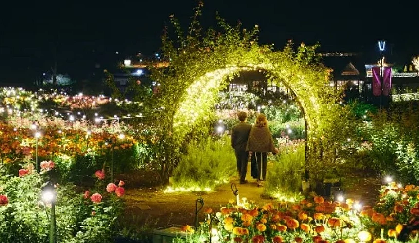 夜间花园被柔和灯光点缀,金色光芒交织成拱形花廊,一对情侣漫步其中