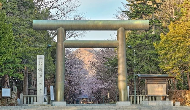 鸟居与表参道的樱花
