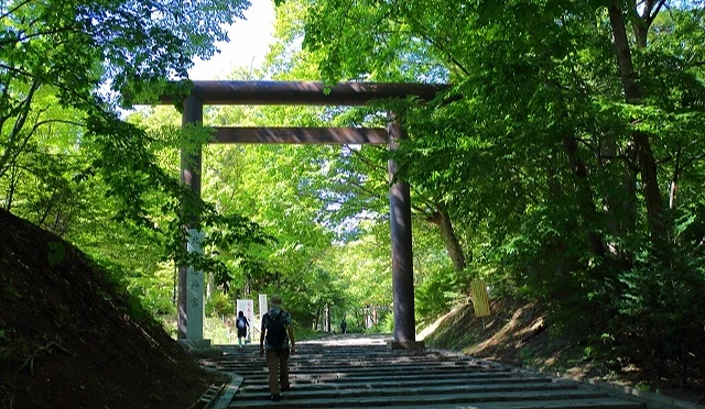 公园口鸟居与绿荫