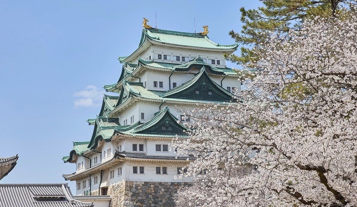 櫻花與名古屋城