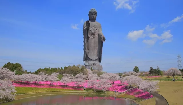 「牛久大佛」全攻略：世界最大青銅佛像，門票及交通資訊、參觀亮點整理 的縮圖
