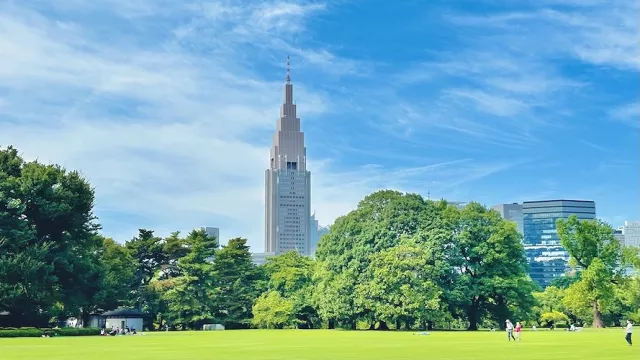 新宿御苑攻略:賞櫻楓葉、門票預約、新宿御苑前站交通整理