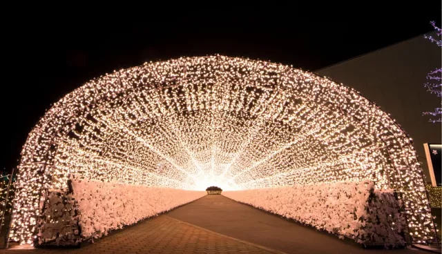 東京競馬場點燈「TOKYO MEGA ILLUMI」:購票連結、優惠券整理