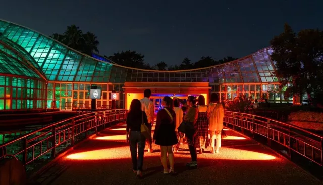京都府立植物園化身光影藝術舞台!紅葉與光影共演的絕美秋夜散步