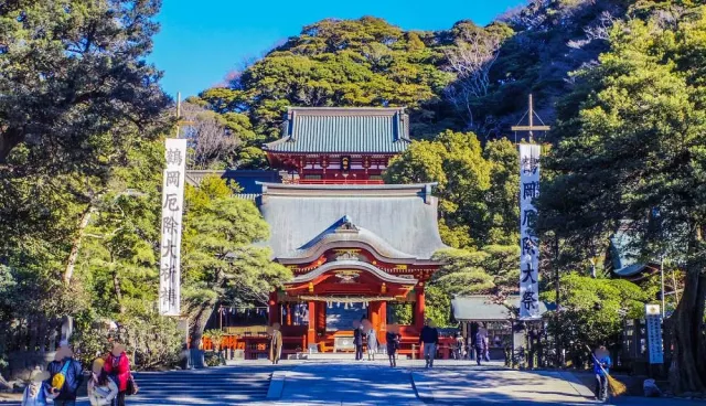 鎌仓鹤冈八幡宫参拜攻略：樱花隧道、鸽子御守、交通与门票资讯一次看
