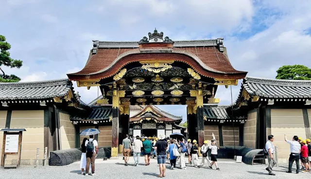 京都二條城完整導覽:世界遺產建築、美麗庭園與季節夜間點燈體驗