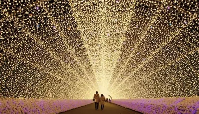 日本最盛大!2025名花之里彩燈祭10月18日閃亮登場【中部冬季點燈推薦】 的縮圖