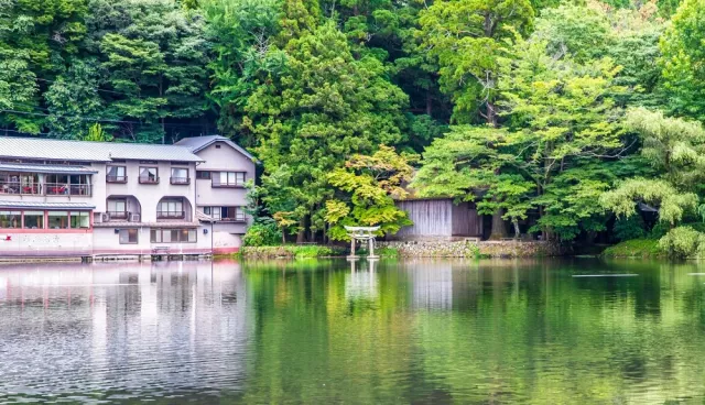 金鱗湖完整攻略:四季看點、周邊景點、美食、住宿一篇搞定