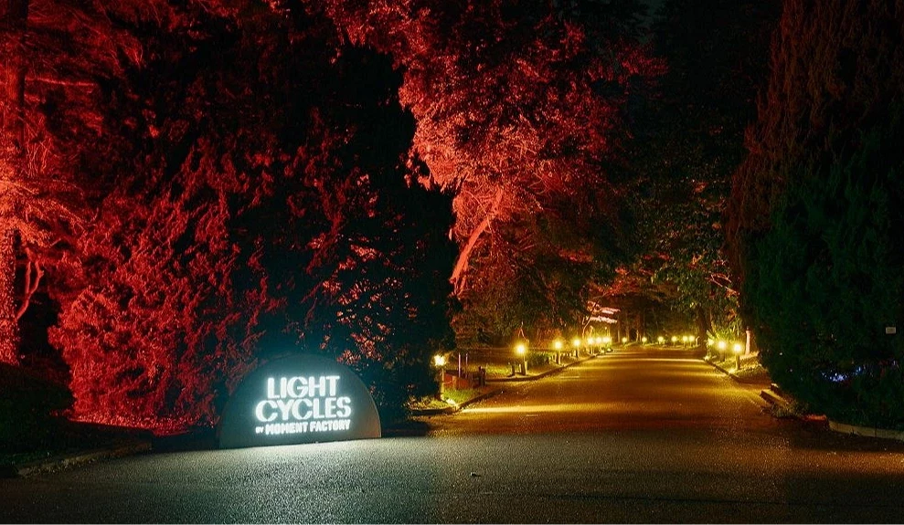 秋季的植物園內紅葉被燈光照亮