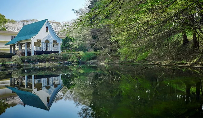 被綠樹環繞的現代飯店建築外觀