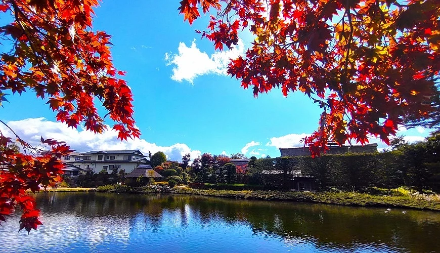 忍野八海秋季的平靜水面與紅葉