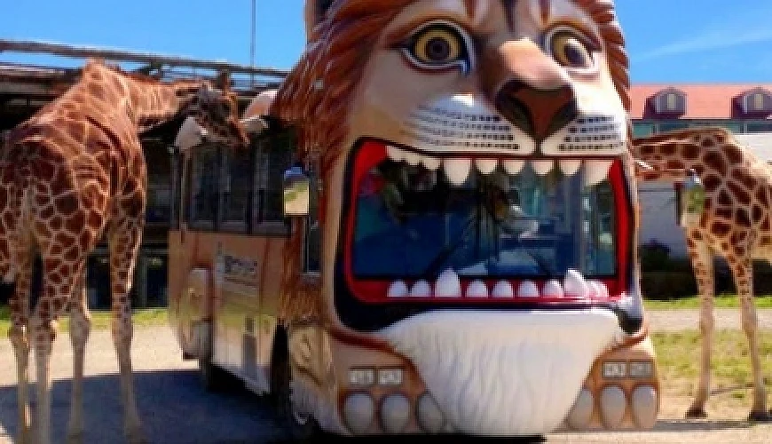 那須野生動物園的獅子造型巴士
