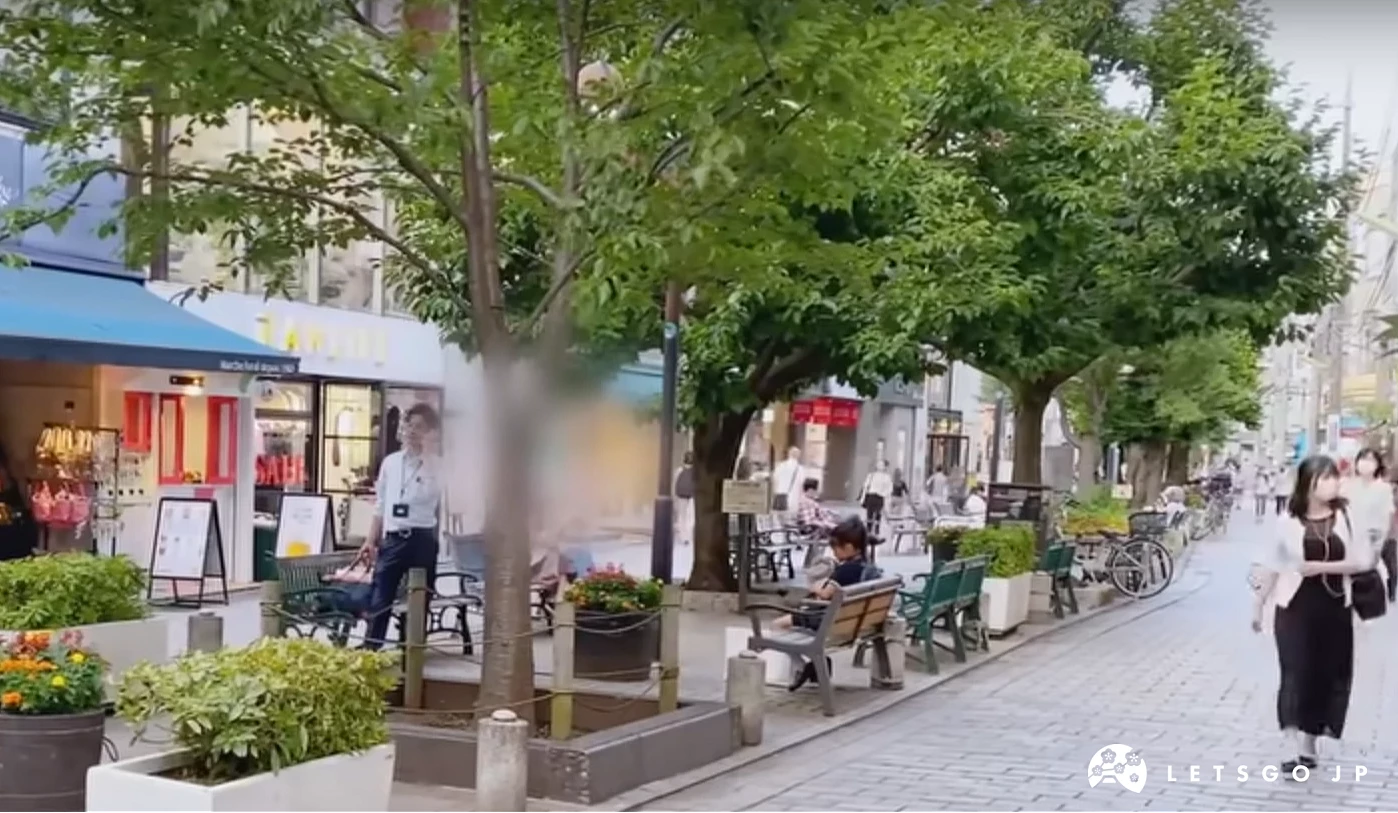 绿色树荫和行人