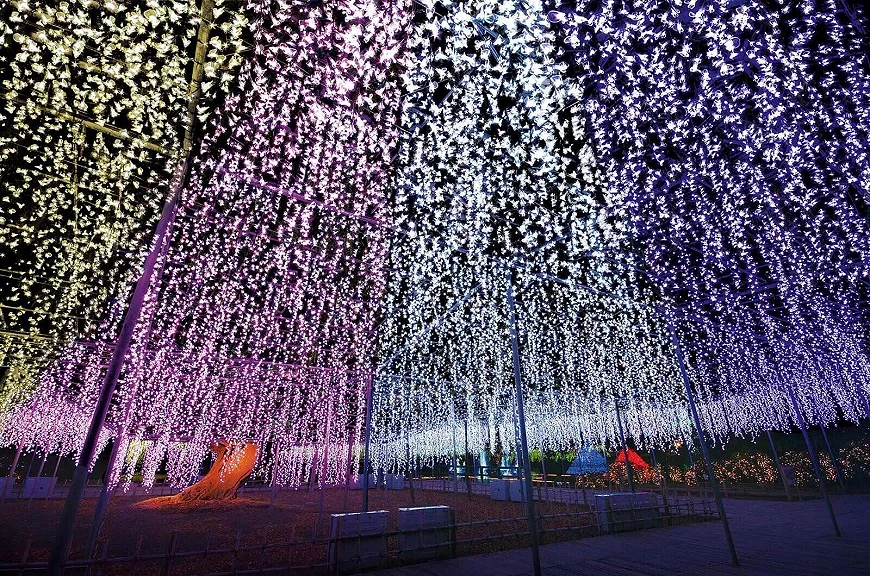 紫藤花上打了不同颜色的光