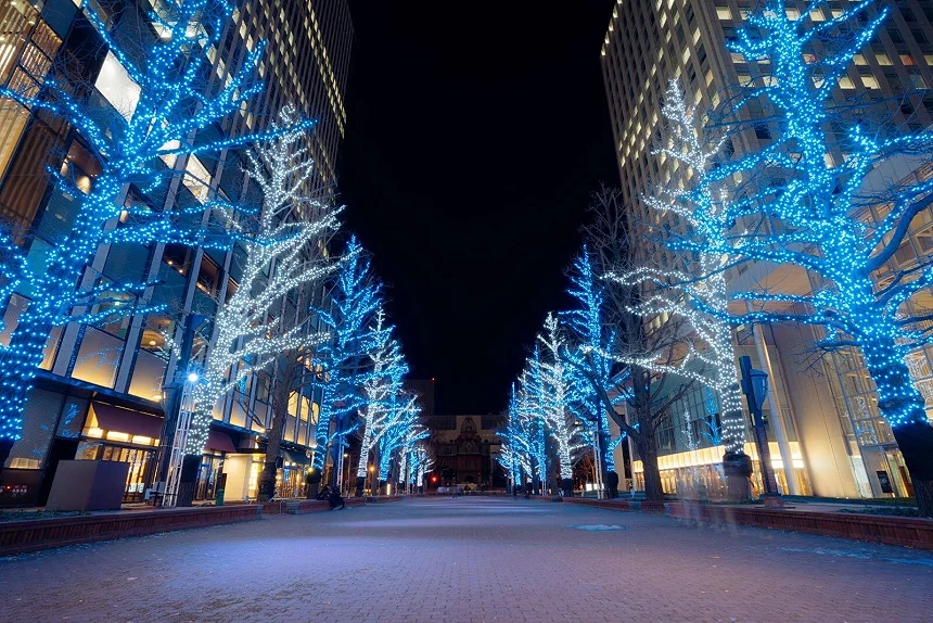 馬路兩旁拍列著燈樹的街景
