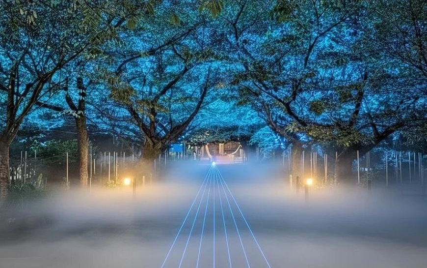 夜晚的樹木與燈光藝術