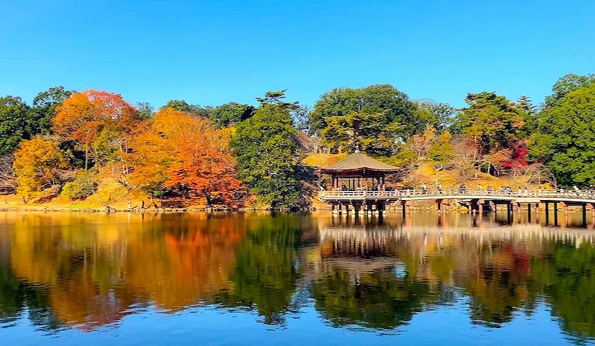 在湖中間的涼亭式建築浮見堂,有橋連接著陸地,遠景的樹木染上秋天的顏色並照映在湖面上