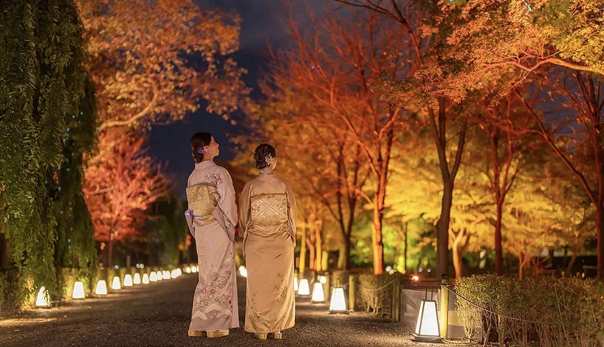 二條城秋日祭典「NAKED meets 二条城 2025 観月」夜間點燈<br>提供:NAKED