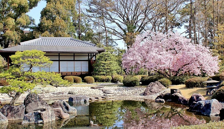 「二之丸庭園」裡的櫻花景色<br>提供:AC写真