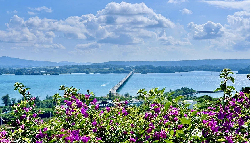 從餐廳「Ocean Blue」露天座位區可以欣賞到襯著花海的古宇利大橋攝影:Angie